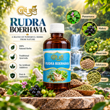 Surya Ketu – Rudra Boerhavia